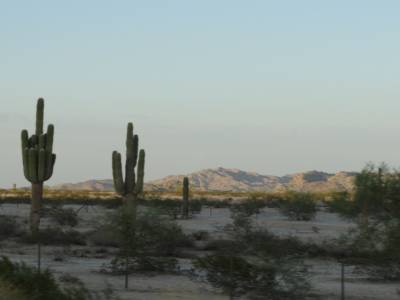 Sur la route de Phoenix