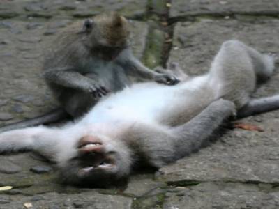trop le bonheur!