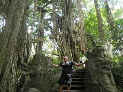 Indiana Jones dans le temple de la jungle