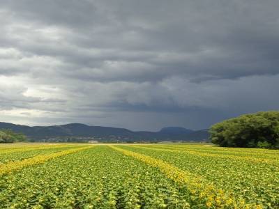 promesse d orage