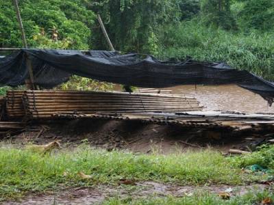Bamboo rafting