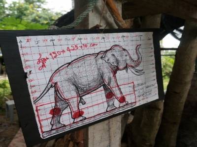 Atelier de sculpture d'éléphant
