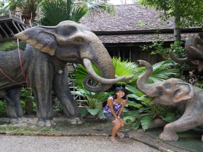 Atelier de sculpture d'éléphant