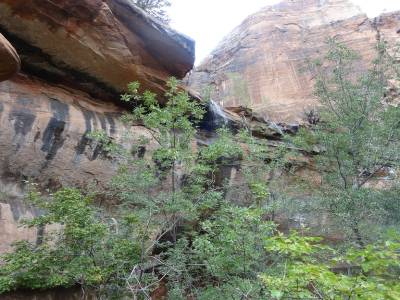 Zion