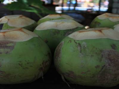 Jeunes coconut prêt à boire