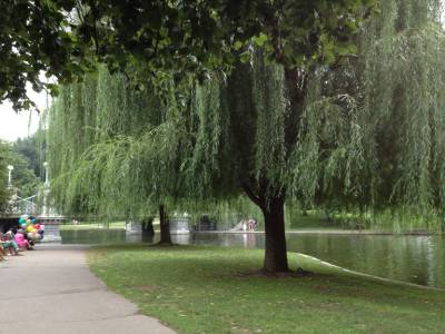 Boston Common parc