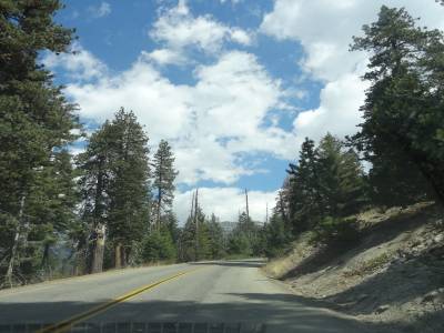 Sequoias park