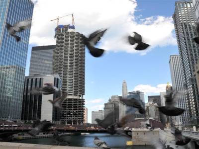 Chicago