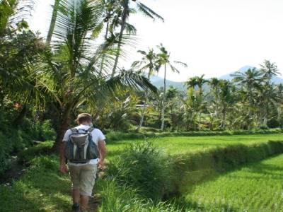 ballade à Munduk au milieu des rizières