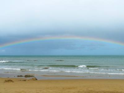 Otago peninsula- Nugget Point