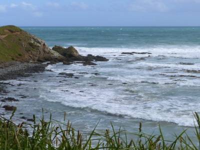 Otago peninsula- Nugget Point