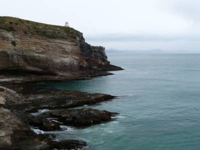 Otago peninsula- Nugget Point