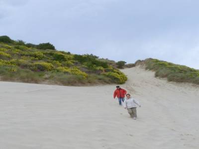 Otago peninsula- Nugget Point
