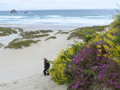 Otago peninsula- Nugget Point