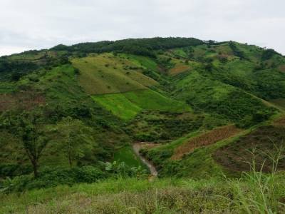 Route de Mae Salong