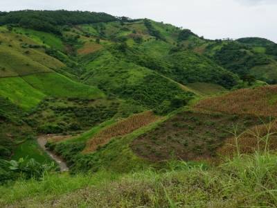 Route de Mae Salong