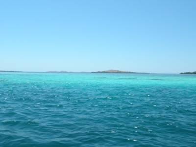 turquoise!