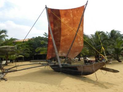 Negombo nous a transmis les catamarans