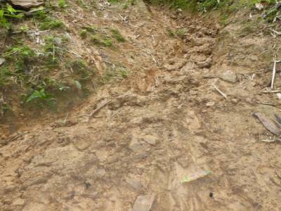 trek boueux, un peu