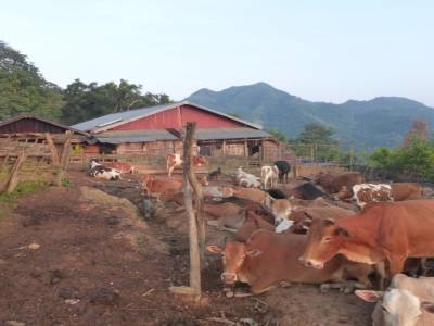 ma guest house