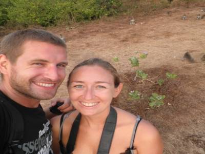 on est cernés de singes
