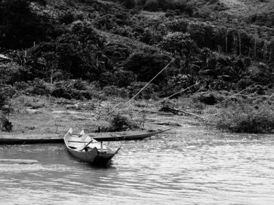 Rives du Mekong