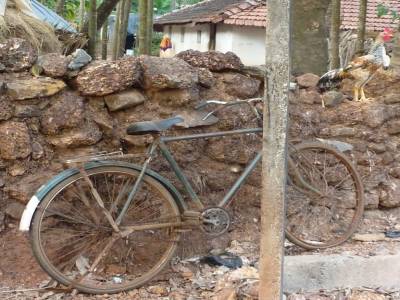 Velo typique (tout rouille) et coq du coin (juste affame, deplume)
