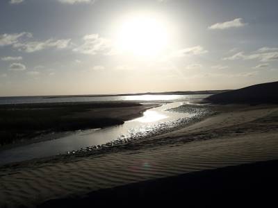 Dunas 2