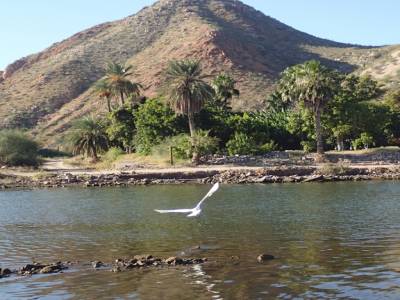 rio mulege 2