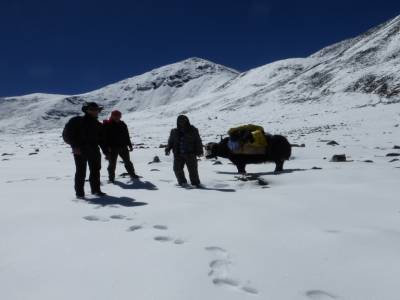 yamado....yamado : trek 5000m