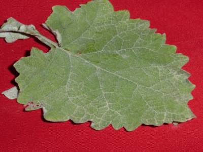 Feuille 2