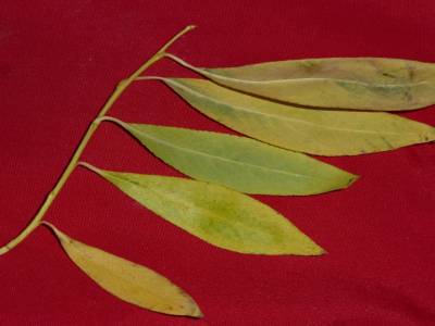 Feuille 5