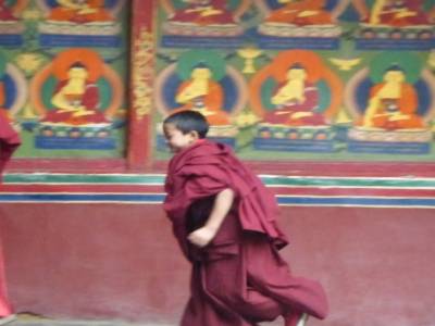 jeune moine à Shigatze