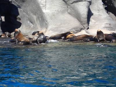 Isla Coronado 5