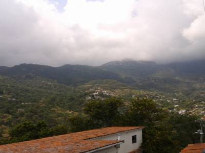 mirador