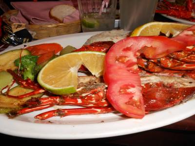 resto a Zicatela