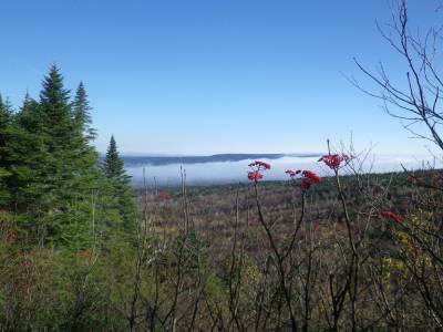 Vue depuis la Grande Coulée