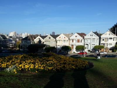 Painted Ladies