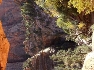 Randonnee canyon overlook trail