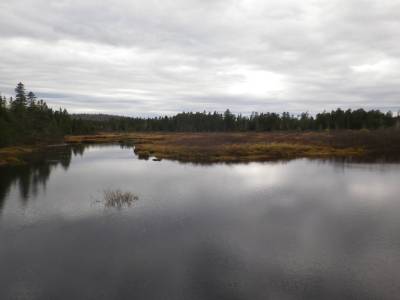 Paysage de marais