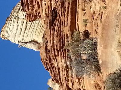 Overlook Canyon Trail