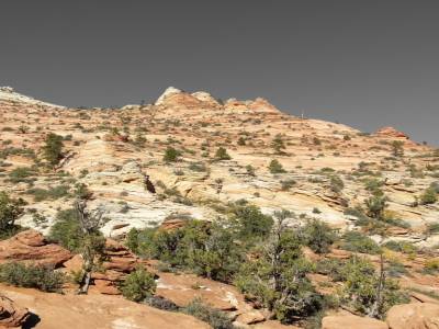 Overlook Canyon Trail