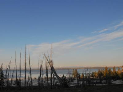 Parc National de Yellowstone
