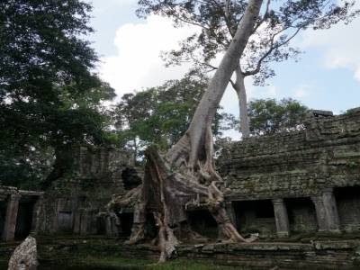 Preah Khan