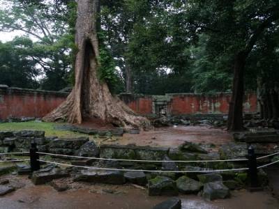 Ta Prohm
