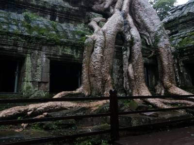 Ta Prohm
