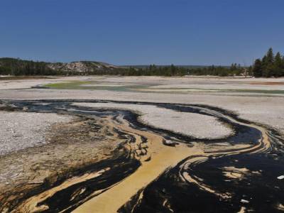 Yellowstone