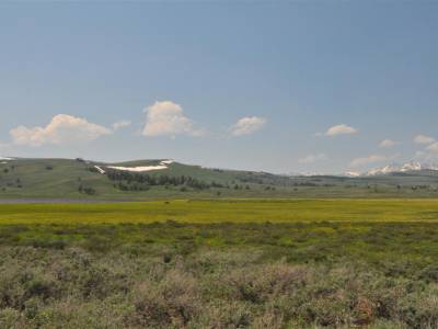 Yellowstone