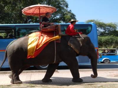 notre premier éléphant dans la rue