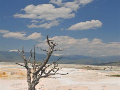 Yellowstone